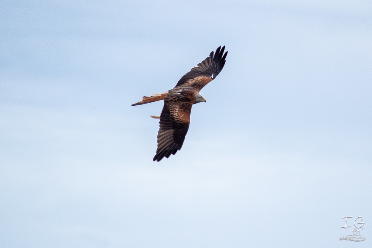 AK6I2070 31 oktober 2021 1553 56